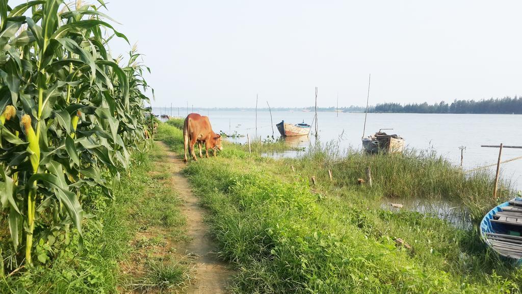 Riverside Hamlet Homestay & Villa Hoi An Luaran gambar