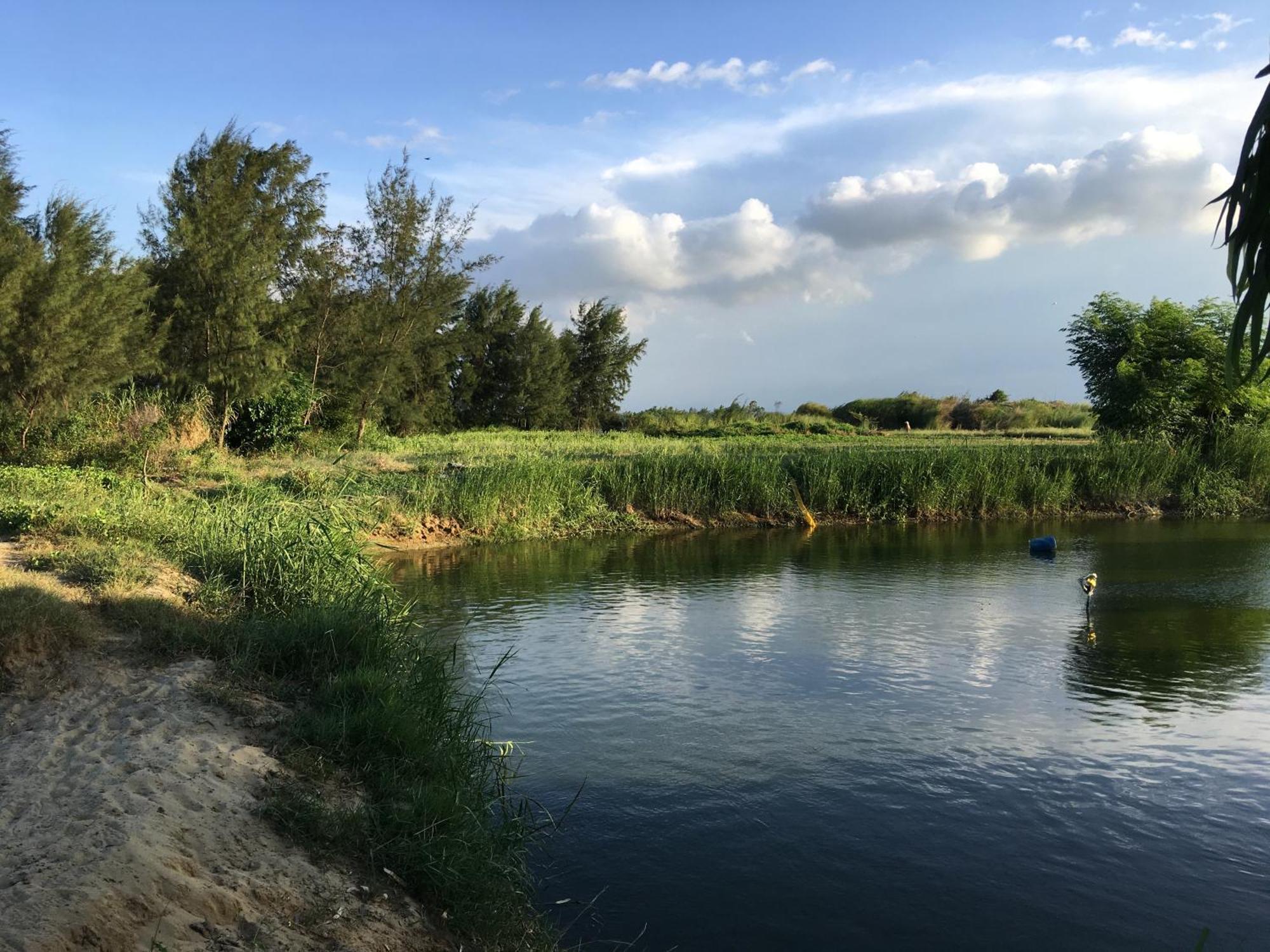 Riverside Hamlet Homestay & Villa Hoi An Luaran gambar