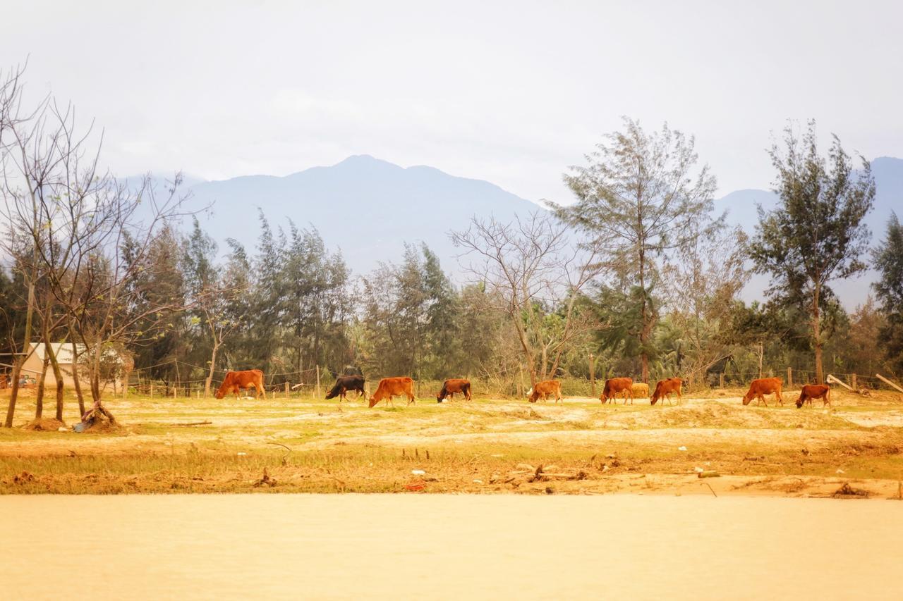 Riverside Hamlet Homestay & Villa Hoi An Luaran gambar