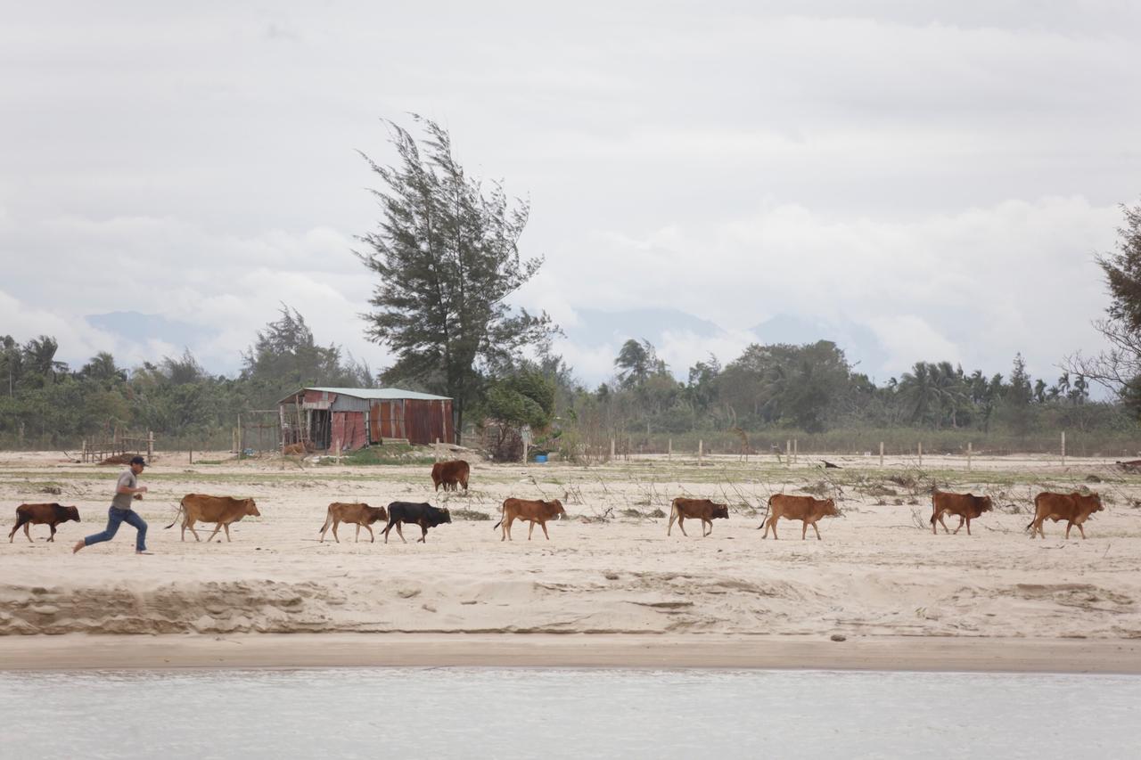 Riverside Hamlet Homestay & Villa Hoi An Luaran gambar